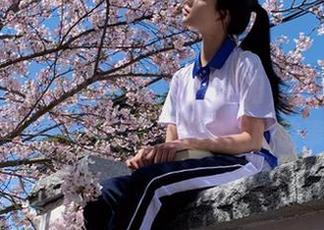 吃瓜网带你迎接朝阳，分享那些神秘而又让人意犹未尽的故事