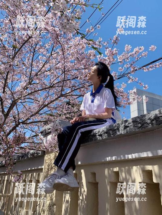 吃瓜网 吃瓜网带你迎接朝阳,分享那些神秘而又让人意犹未尽的故事