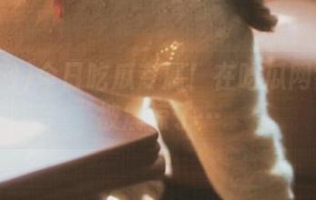 今日吃瓜专属！在吃瓜网霎那间被震惊了…