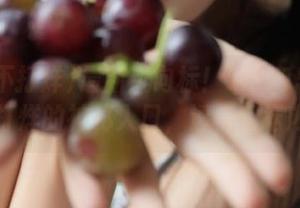 最新风向标！zztt15.su黑料不打烊的神秘入口，透视瓜坛内幕！