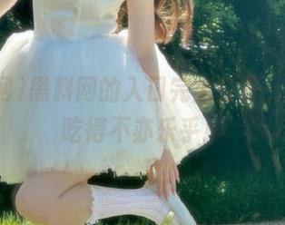 黑料网的入口完全打开，我的瓜吃得不亦乐乎！