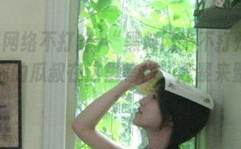 “黑料网络不打烊”导航：你的瓜叔在这里等你，赶紧来聚餐吧！